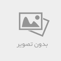 حامی وب